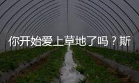 你开始爱上草地了吗？斯瓦泰克：是的，今年有趣多了