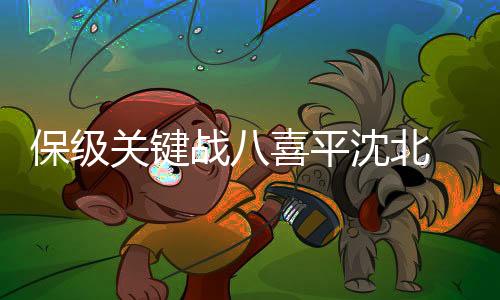 战喜本赛季中甲升二降二