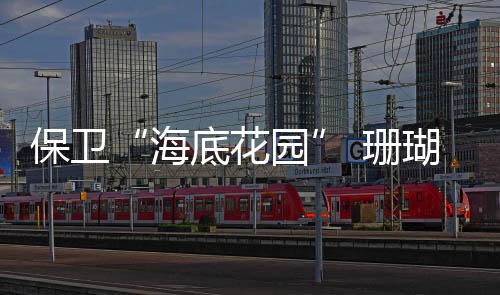 珊瑚死亡已经是全球性问题