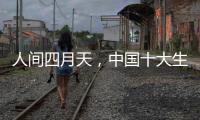 人间四月天，中国十大生态板品牌以质取胜