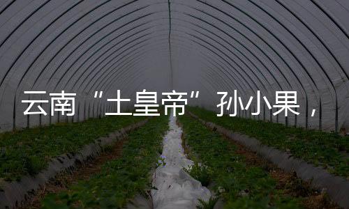 孙小果重获“自由”