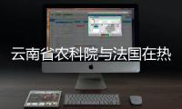 云南省农科院与法国在热带果树、蔬菜等方面加强合作