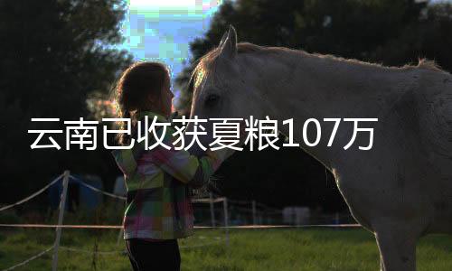 累计防治198.6万亩次