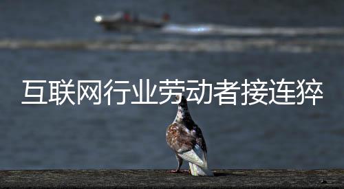 互联规范平台的网行权力