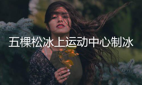 棵松地下两层为冰场