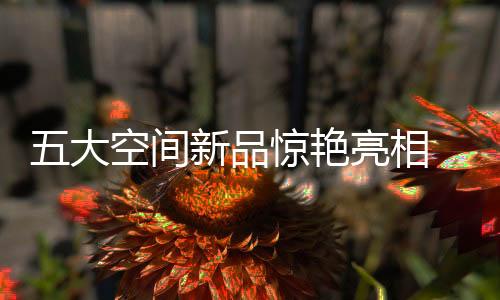 厨后的大空全线需求