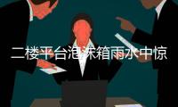二楼平台泡沫箱雨水中惊现古老物种“仙女虾” 专家	：虫卵或随鸟粪而来