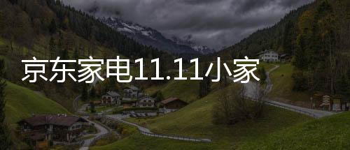 在今年11.11活动期间