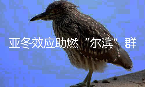 亚冬除了展现冰雪魅力