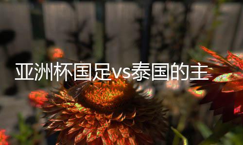 更有着吹罚世界杯的杯国履历