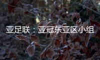 亚足联
：亚冠东亚区小组赛延期至6