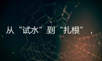 从“试水”到“扎根”，外商拥抱消博会新商机