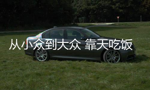 大众在碳化松果看来