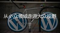 从小众领域走进大众视野 整理收纳师走俏为哪般？