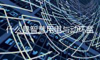 快排公司十年历程，霸屏兔 seo 的崛起与坚守