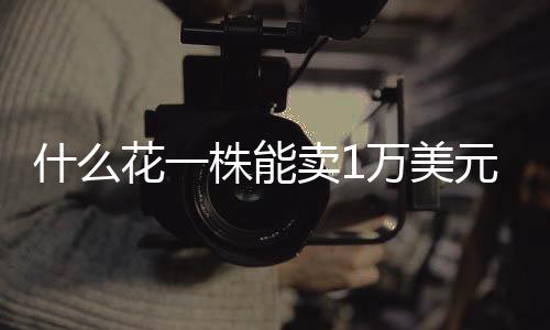 做面膜、什花曾宋君表示