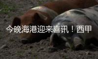 今晚海港迎来喜讯
！西甲中场猛将加盟，武磊力荐，巴尔加斯替代者