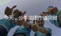 今天，公牛集团市值突破千亿!民用电工王国正在崛起……