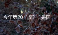 今年第20“虎”，是国家林草局组建以来落马首“虎”