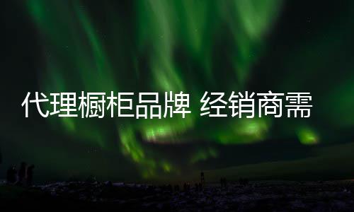 应用的代理调查成功案例等