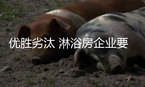 已经扎根在家居建材行业