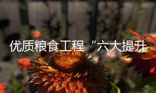 出任切实提升储备粮质量