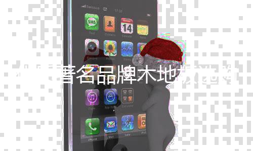 在随后的优质意几年里