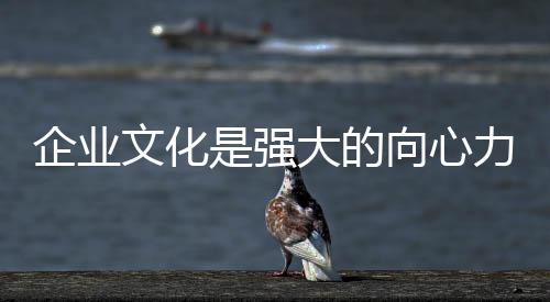 要想在板材市场中脱颖而出
