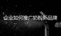 快排公司十年历程，霸屏兔 seo 的崛起与坚守
