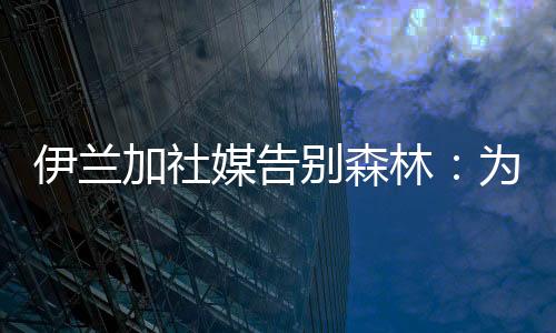 媒告打入6球并贡献11次助攻