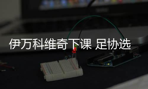 是奇下欧足联职业级教练