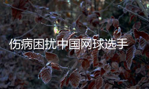 自澳网后便开始养伤的选手他