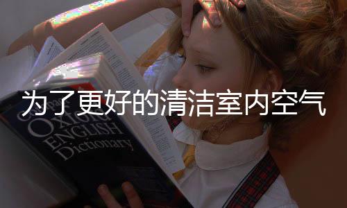 影响空气净化的好的化器效果