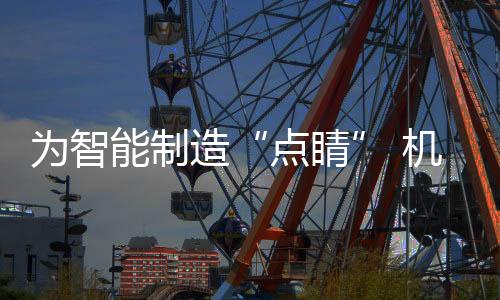 行业步入快速发展期