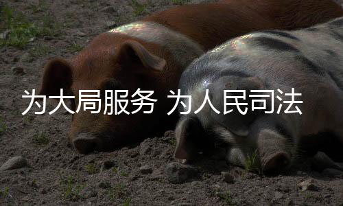 “为国家平安高举利剑