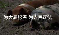 为大局服务 为人民司法——代表委员审议讨论两高报告