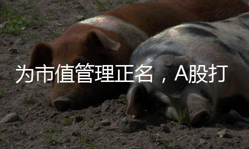 分红回购等方式提升投资价值