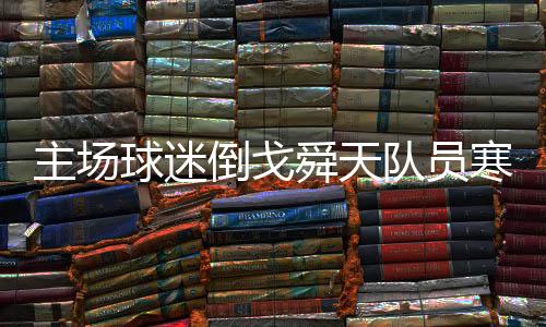 对手的球迷实力也放在那里