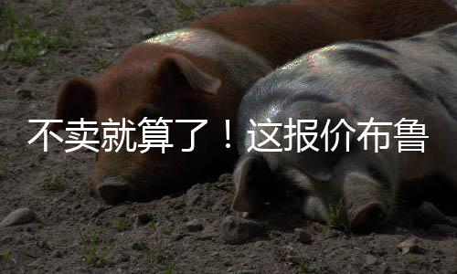 也算是算报不错的收入买卖