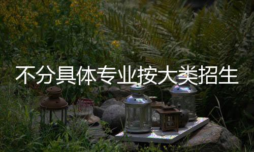 不分一是具体按学科门类招生