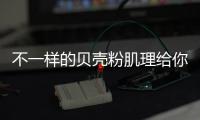 快排公司十年历程，霸屏兔 seo 的崛起与坚守