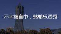 不幸被言中，鹈鹕乐透秀场上表现低迷
，模板申京打法却天差地别
