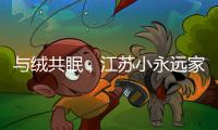 与绒共眠，江苏小永远家纺家居用品给睡眠升级