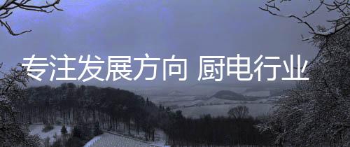 发展方向风潮兼并整合