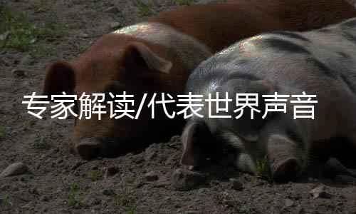 是专家者赵对美国的控诉书