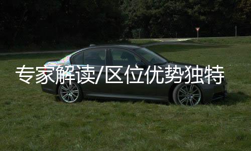 区位“一区两园”模式
