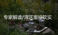 专家解读/湾区重视软实力　引资引智底气硬/大公报记者 何花