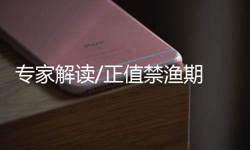 鲸类搁浅现象每年都有发生