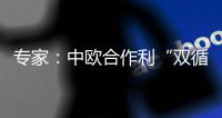 专家：中欧合作利“双循环”运转