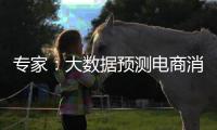 专家：大数据预测电商消费潮流